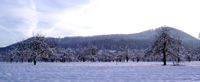 Farrenberg im Winter